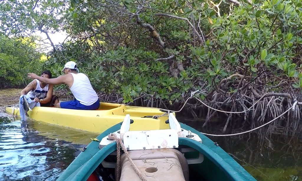 Wavewalk Tandem Fishing In Mangroves Wavewalk Adventures In