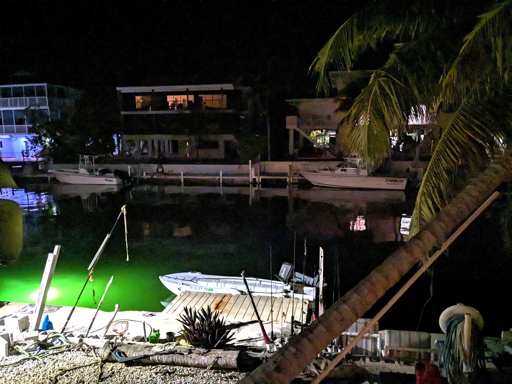 Garden Cove at Night
